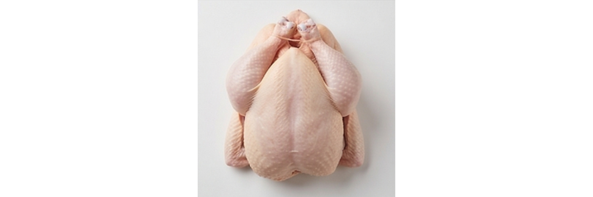 Comprar Pollo Fresco Online | Aves de Granja | Granja Don Gallo